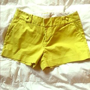 Banana republic shortsize 10